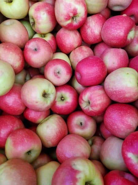 october apples from Kingston orchard