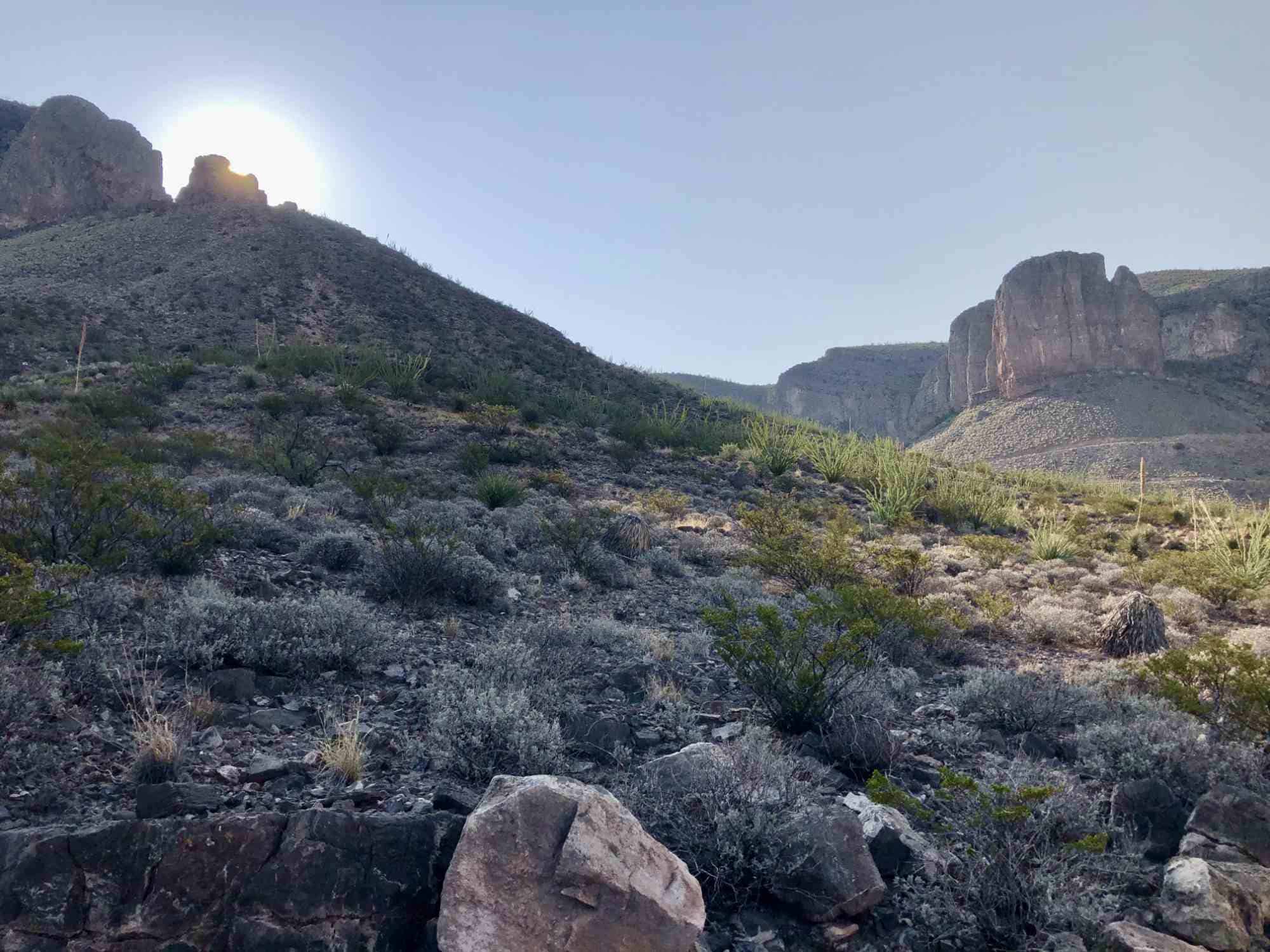 Ecotours / Conservation Impact Tours by Ted Turner Reserves
