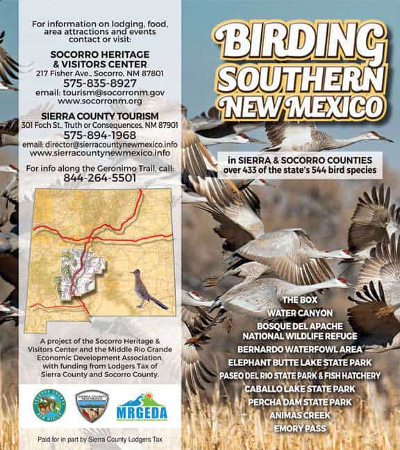 birding in sierra county and socorro county 1