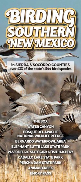 birding in sierra county new mexico