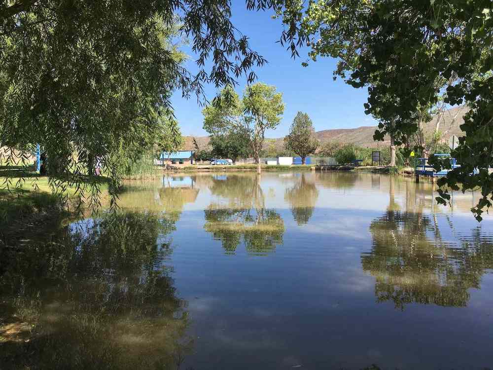 the pond at ralph edwards park