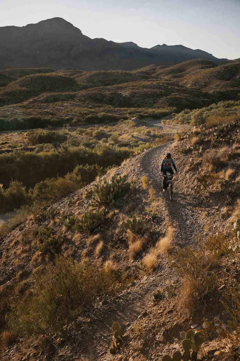 Biking: Mountain, Road and Street
