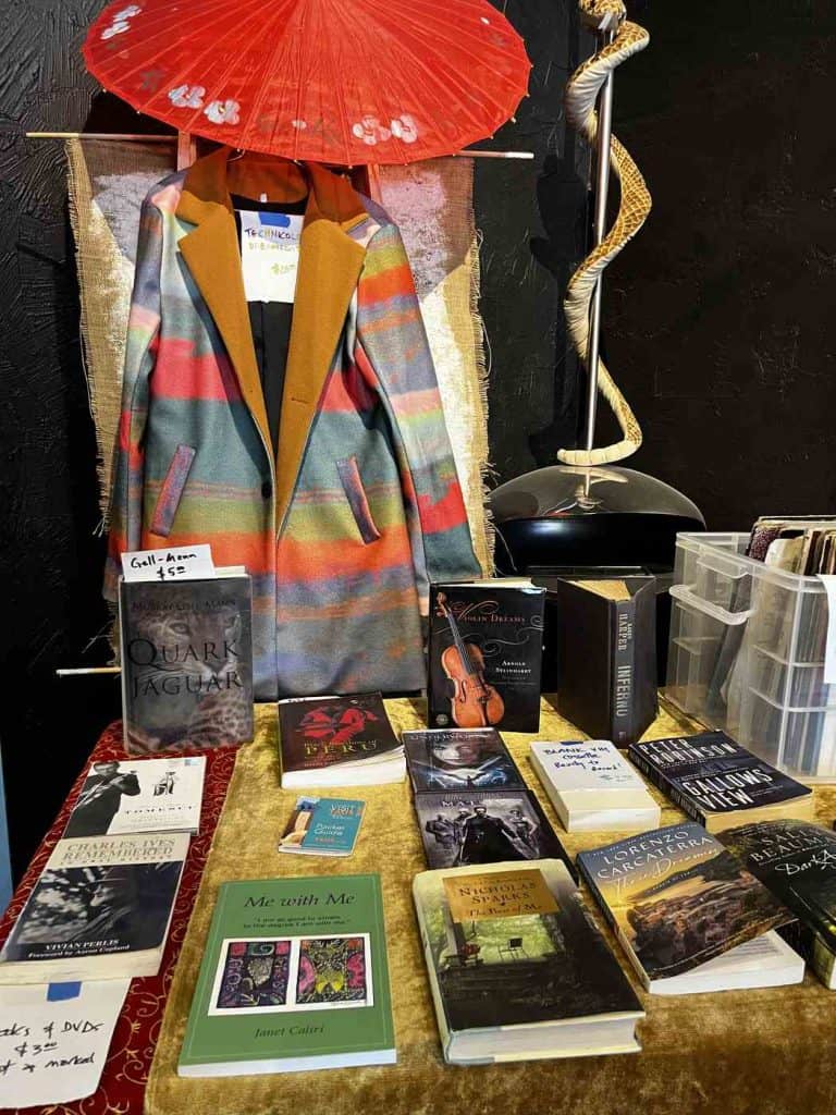 books and a coat of many colors at lunaticus galerie torc nm