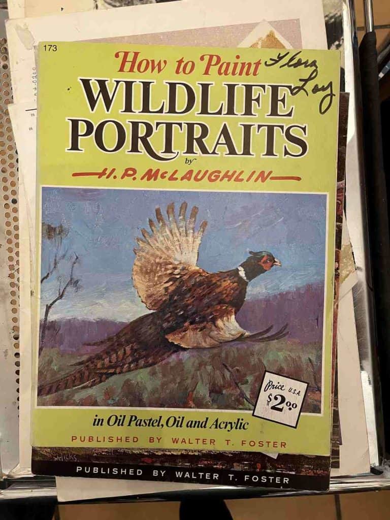how to paint wildlife book at xochis torc