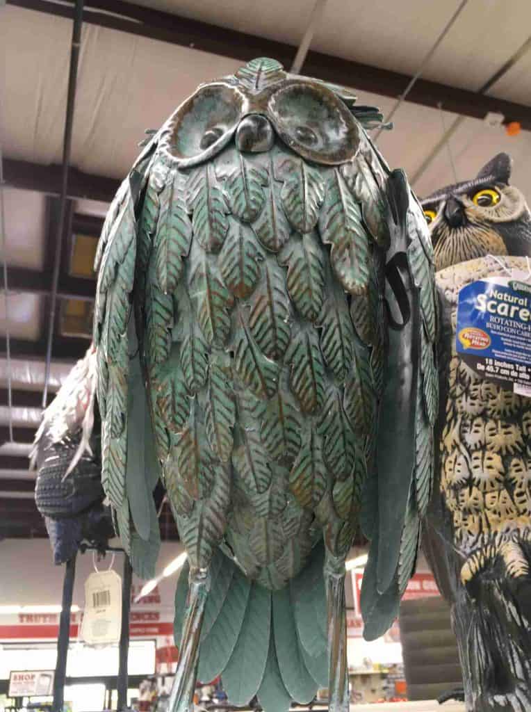 metal owl scarecrow yard decor at tractor supply torc