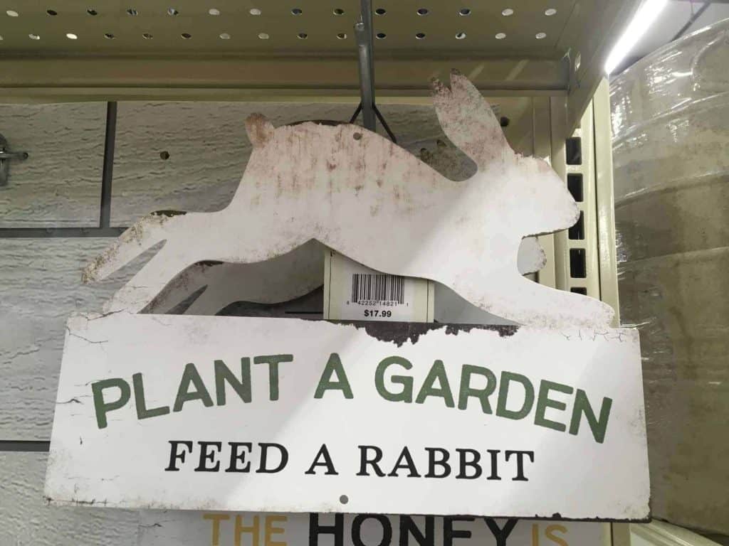 plant a garden feed a rabbit at tractor supply torc