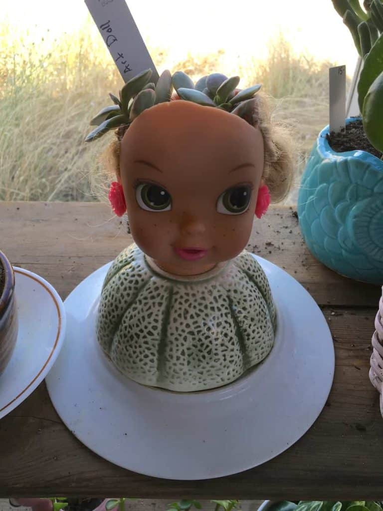 sierra makers torc doll head planter