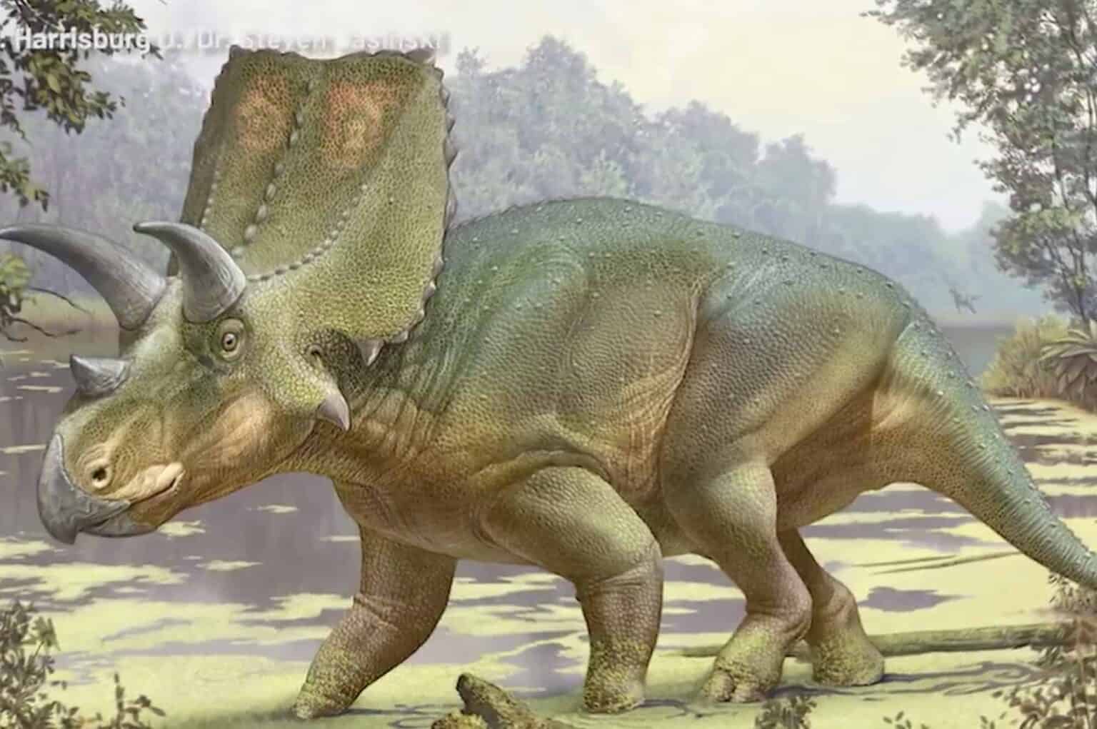 sierraceratops turneri found in sierra county new mexico