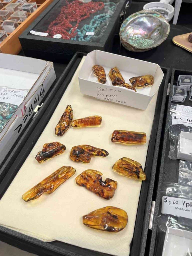 baltic amber at torc rock and gem show