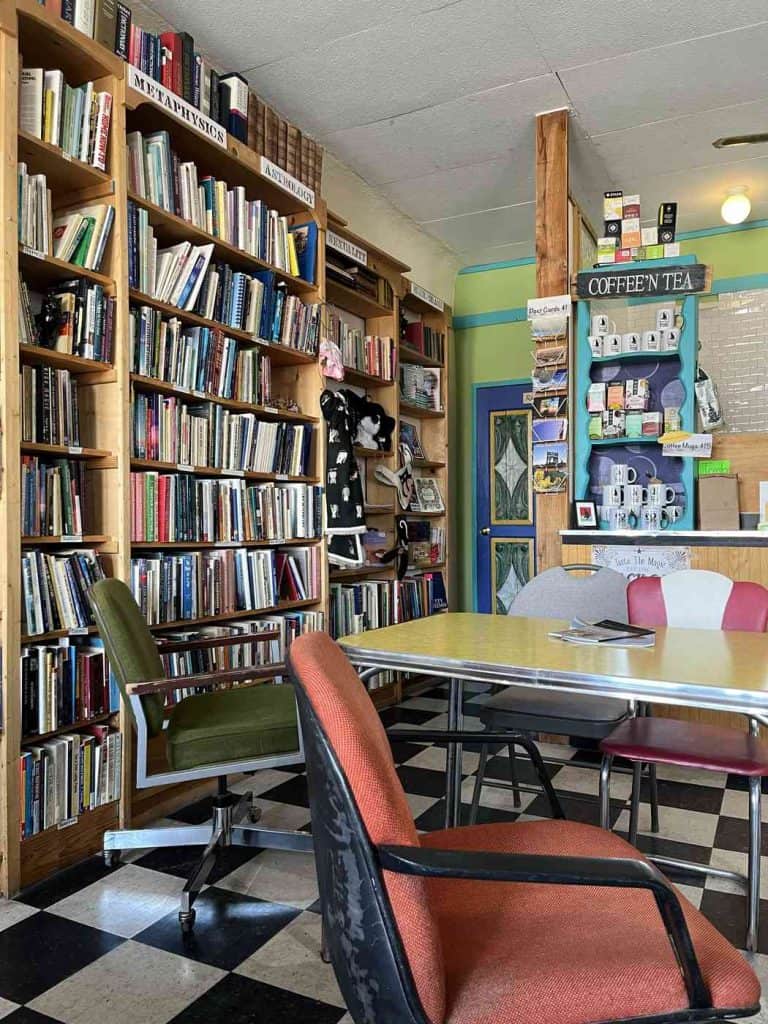 black cat books shelves of books