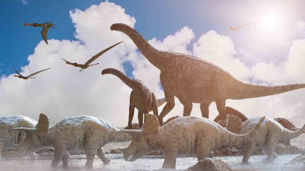 talk on dinosaurs at the geronimo springs museum