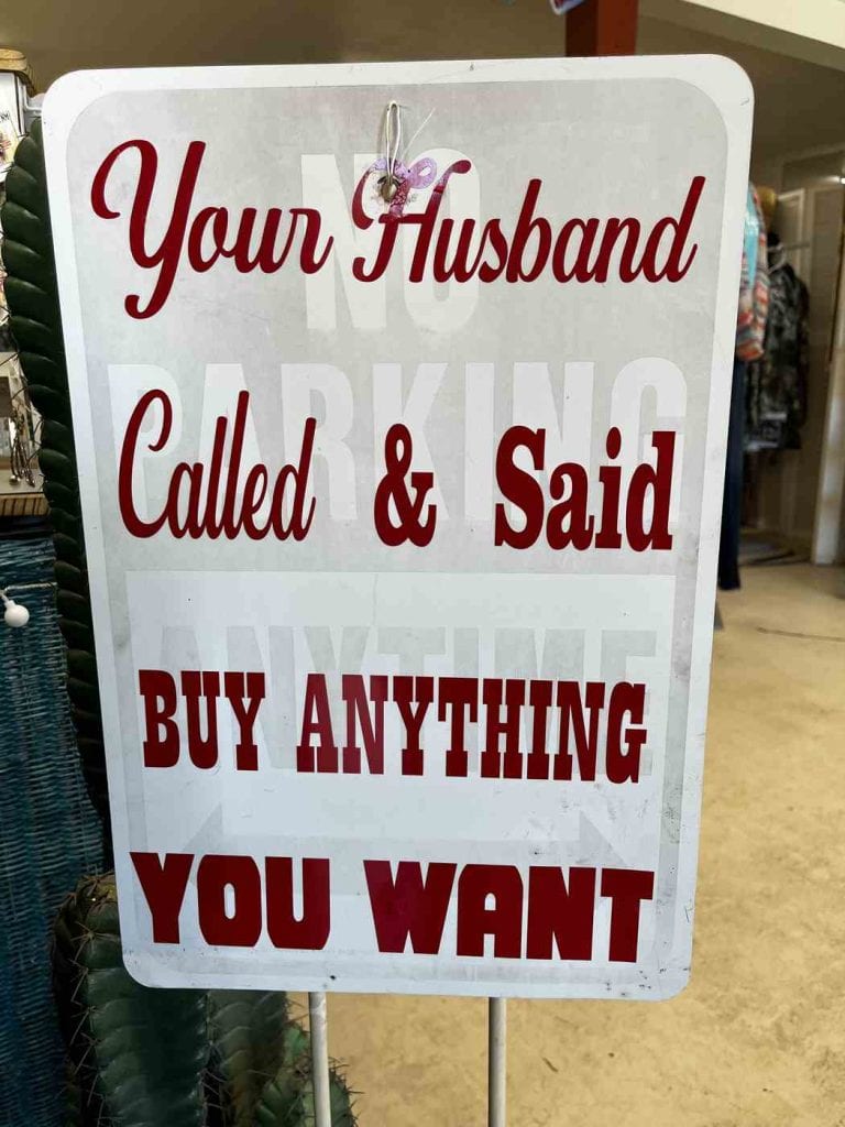 buy anything at cactus ranch nm store