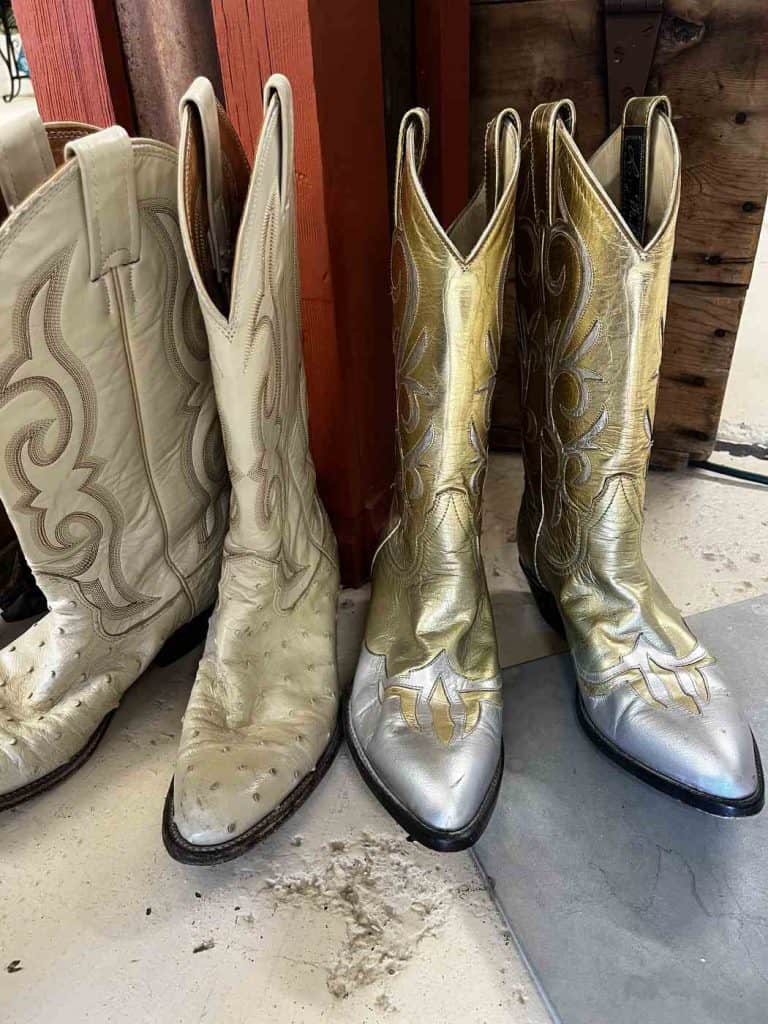 shiny boots at cactus ranch truth or consequences