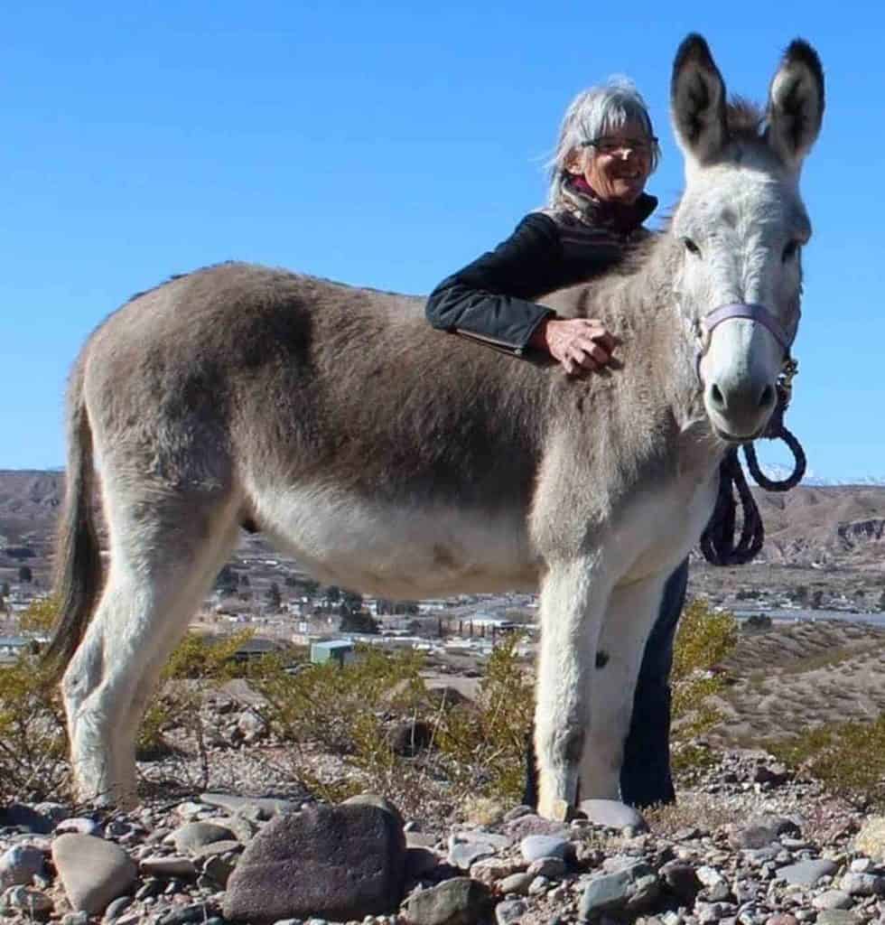 tracy and her donkey from donkey magic farm