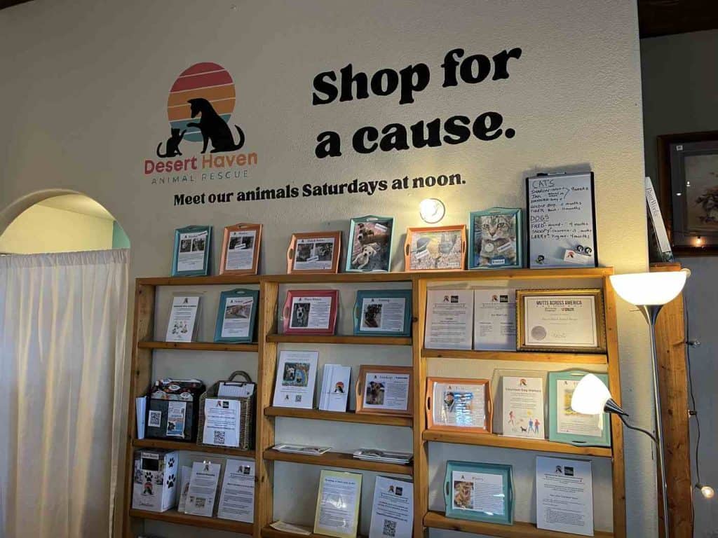 dishware and wall meet adoptable animals at jones street secondhand