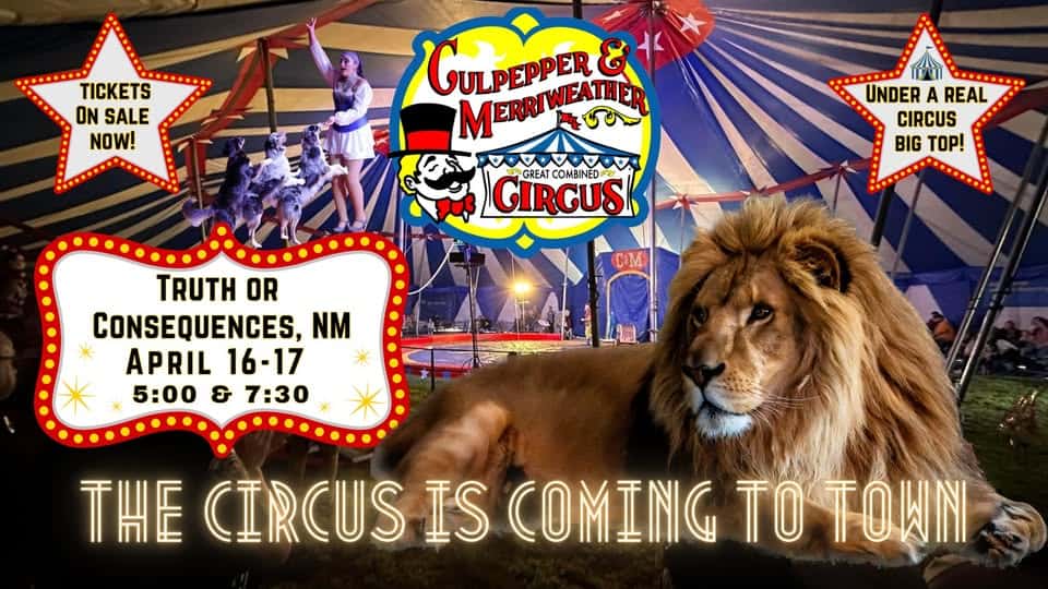 Culpepper Merriweather Circus
