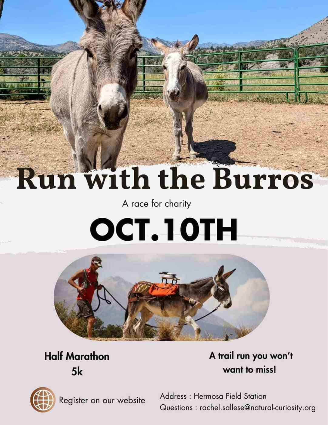 run with the burros half marathon 5k hermosa field station