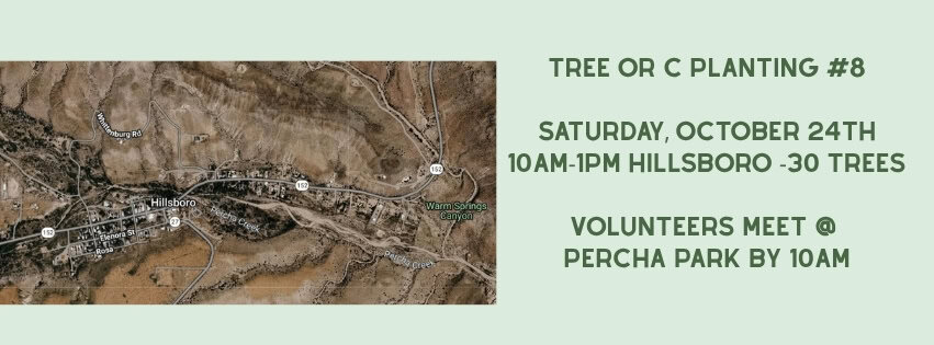 Tree planting event in Hillsboro New Mexico