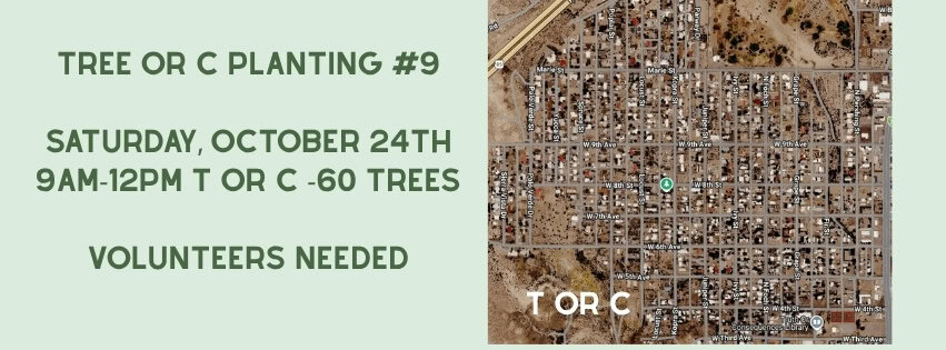 Tree planting event in Hillsboro New Mexico
